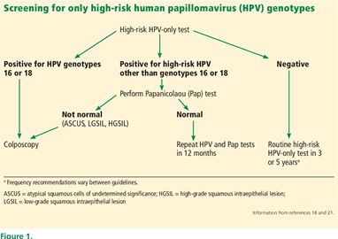 human papillomavirus