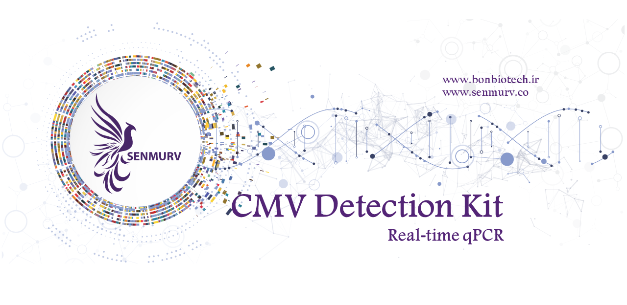 کیت تشخیصی CMV