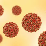 اطلاعاتی در مورد ویروس هپاتیت B